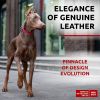 Long Lasting Leather Dog Collar for Large Dogs Medium Small Dogs Adjustable Collar with Durable Buckle D Ring 12-15 inch Neck x 4/5 inch Wide Pink Co