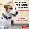 Nylon Dog Collar Adjustable for Large Dogs Small Medium Dogs for Boy Girl Dog Collars with Durable Plastic Buckle 9-14 inch Neck x 3/5 inch Wide Unic